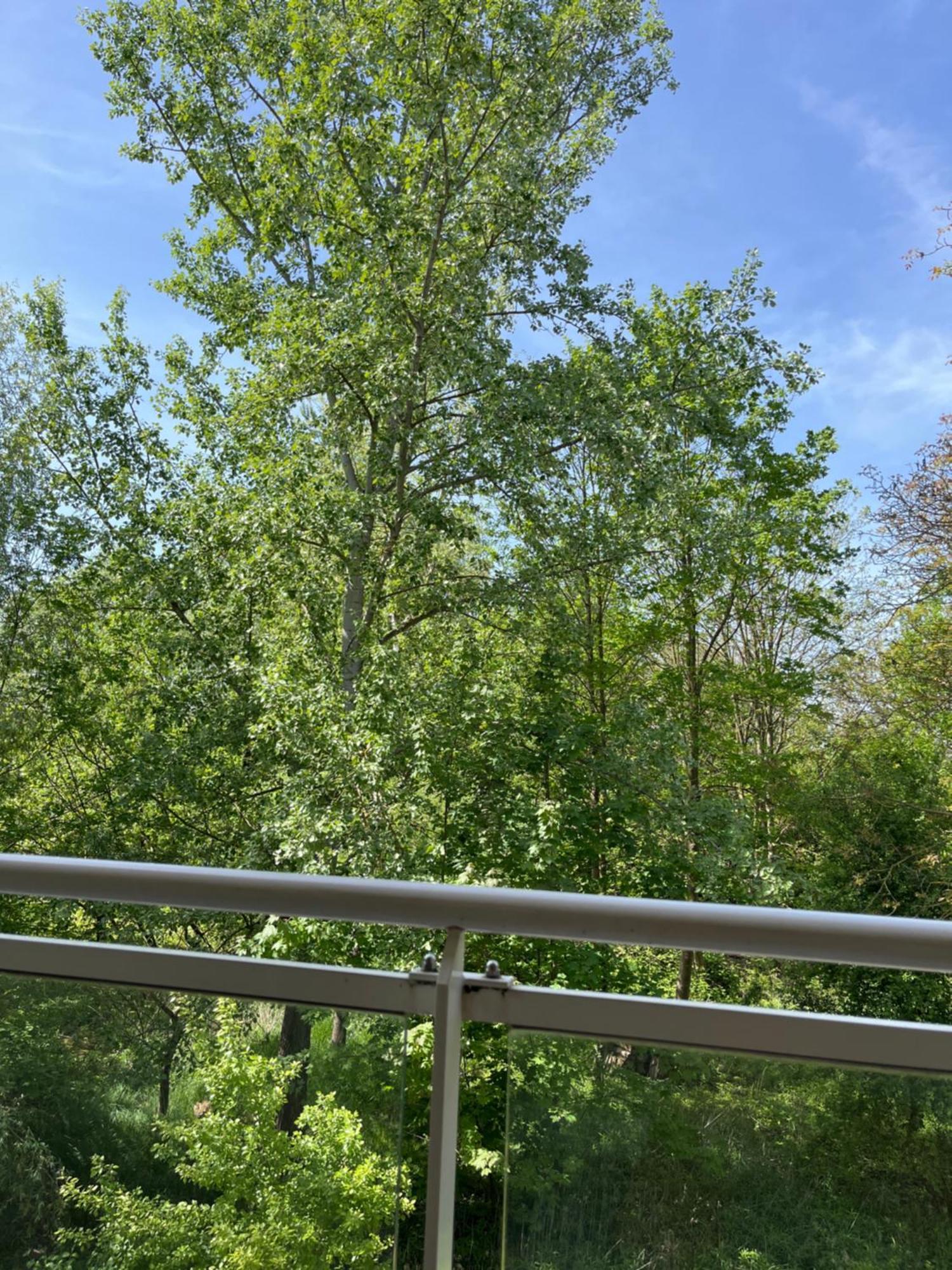 Kosly Garden Robertsau Apartment Страсбург Екстериор снимка